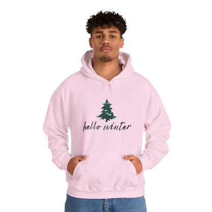 Hello Winter Unisex Heavy Blend™ Hooded Sweatshirt