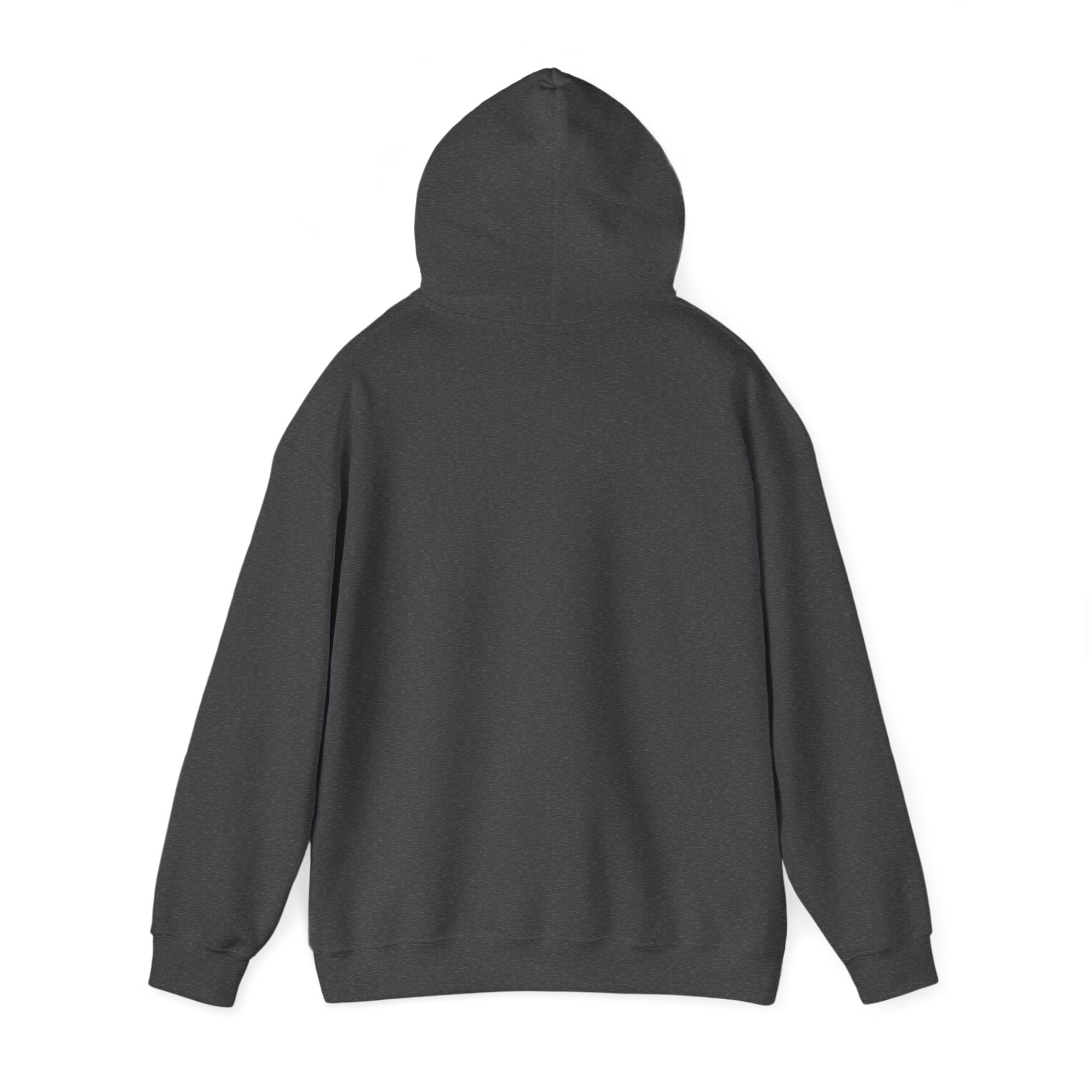 Go Unisex Heavy Blend™ Hooded Sweatshirt